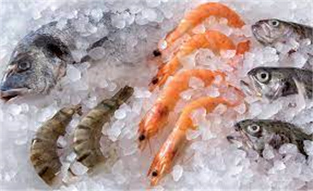 Máquinas de hielo para pesca que mejoran la industria pesquera