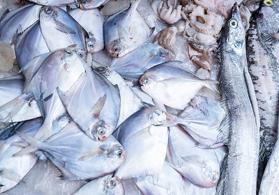 ¿Qué tipos de alimentos son adecuados para la congelación rápida?