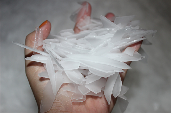 5 consejos esenciales para elegir la máquina de hielo en escamas adecuada
        