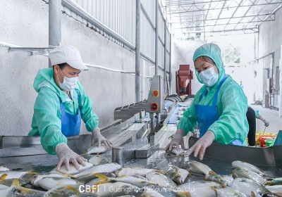 Máquina de hielo en tubos de 15 toneladas en la fábrica de procesamiento de pescado marino de Guangxi