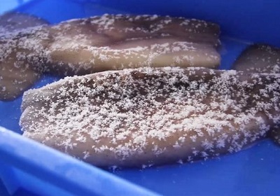 ¿Cómo garantizan los congeladores rápidos la calidad de los alimentos congelados?